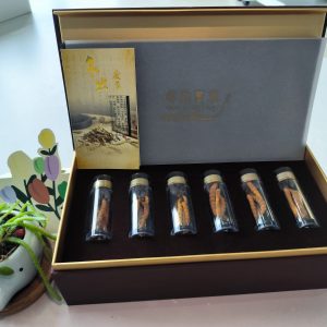 Tibet Premium Cordyceps