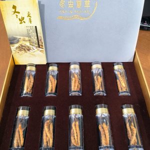 Tibet Premium Cordyceps